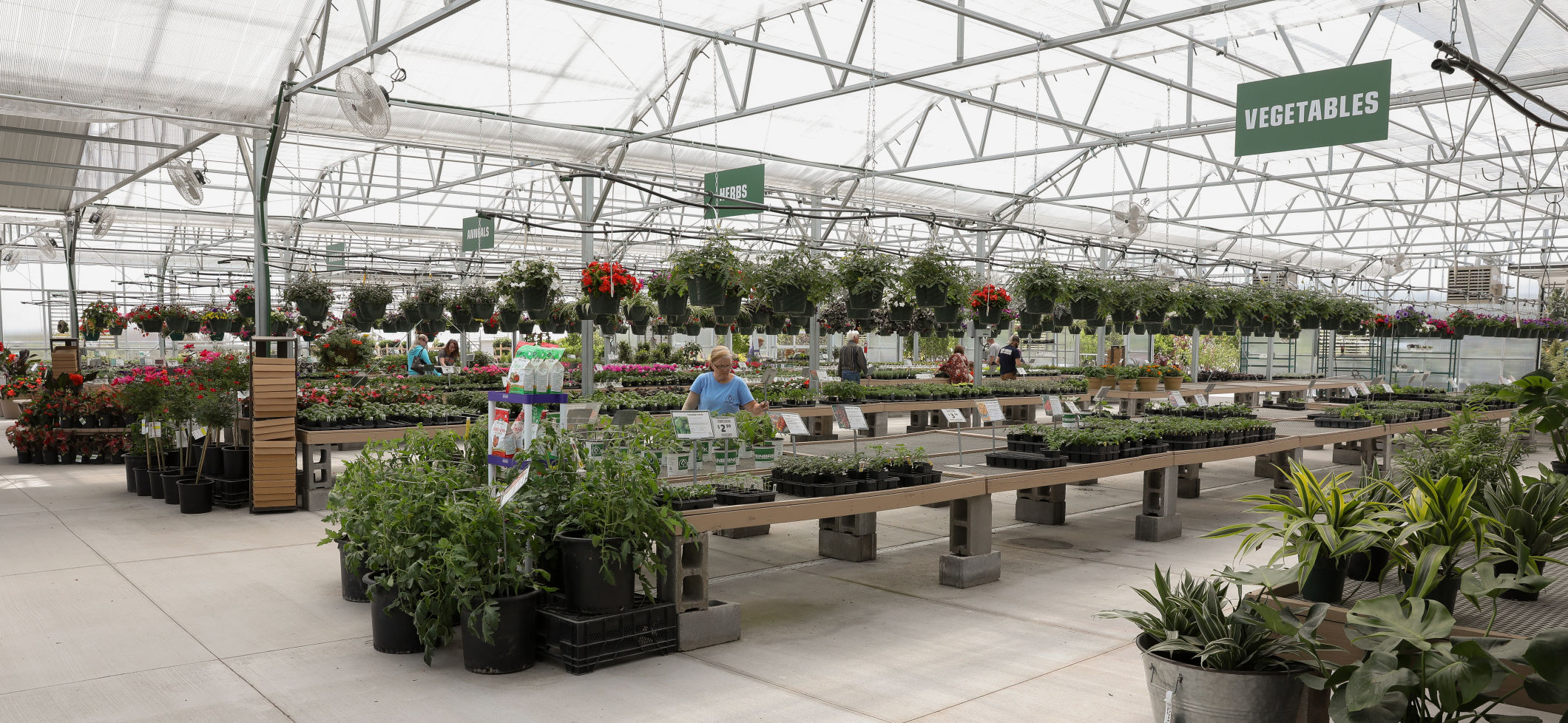 Steinbrink Landscaping & Greenhouses